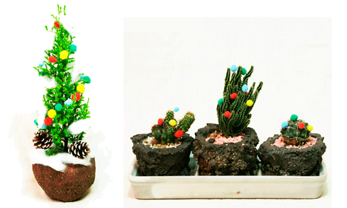 デコレーション盆栽のデコ盆クリスマスツリー＆サボテン